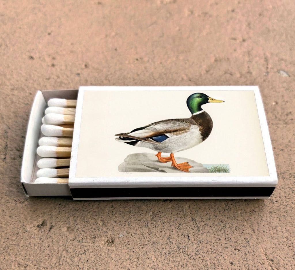 Mallard Duck Matchbox