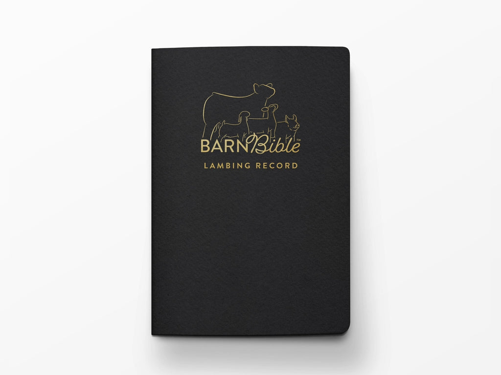 Mini Barn Bible™ Sheep Edition